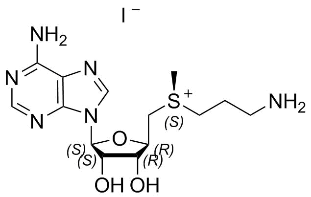 Methionine Impurity 12