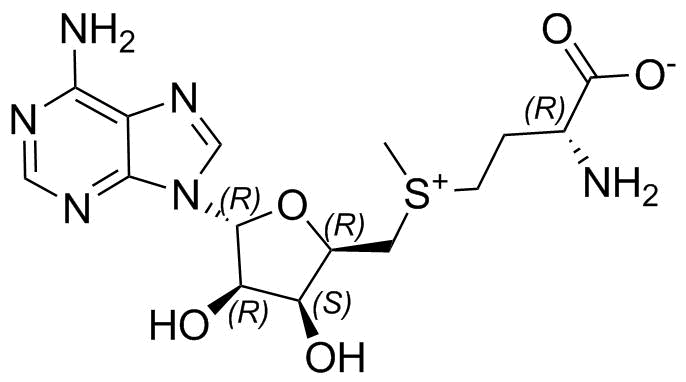 Methionine Impurity 13