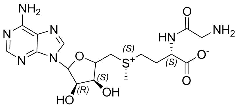 Methionine Impurity 15