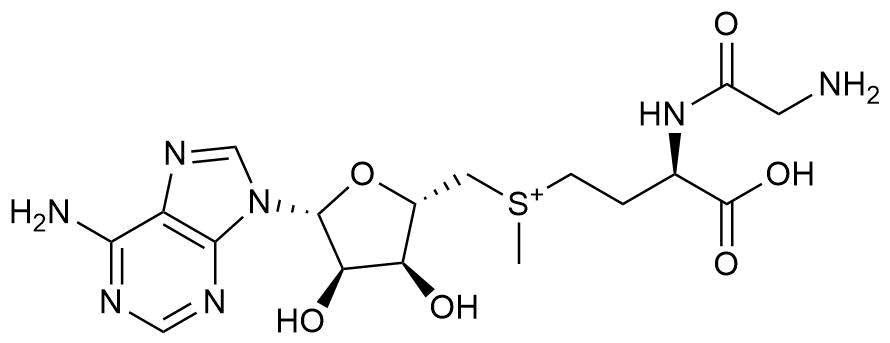 Methionine Impurity 16