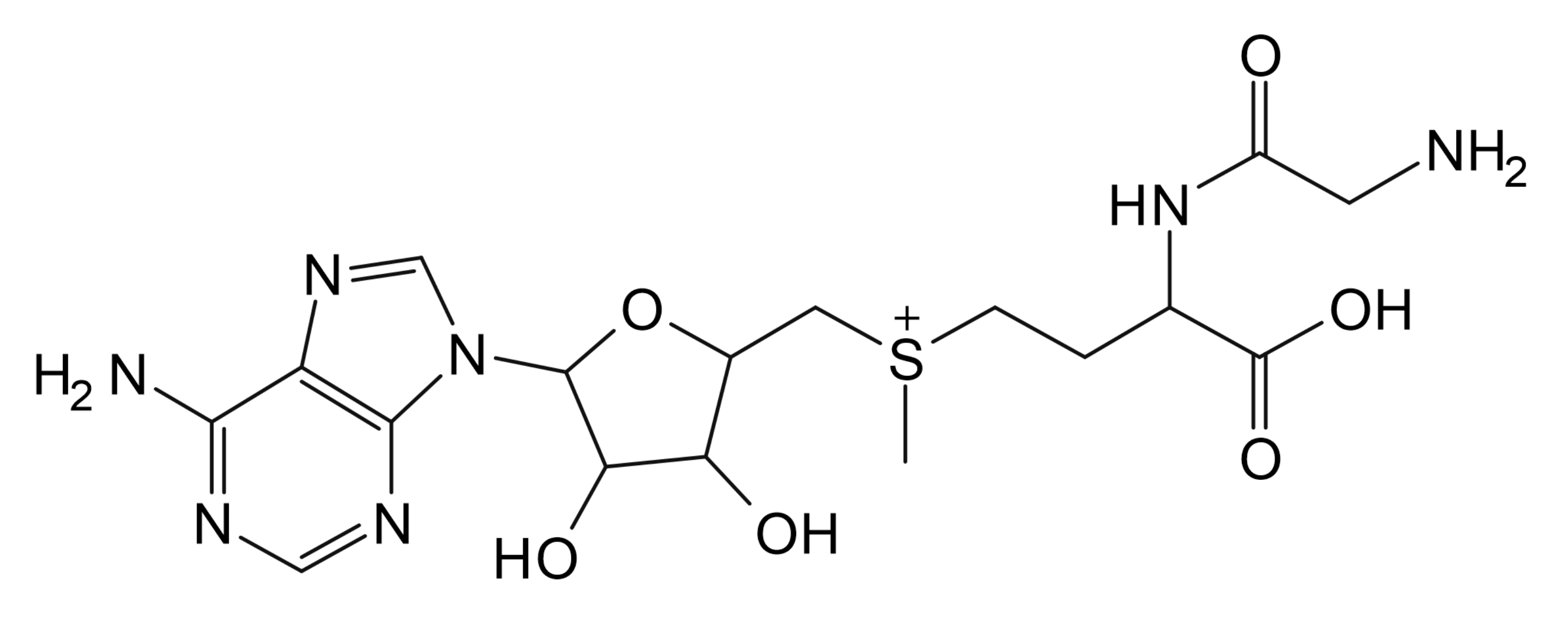 Methionine Impurity 9