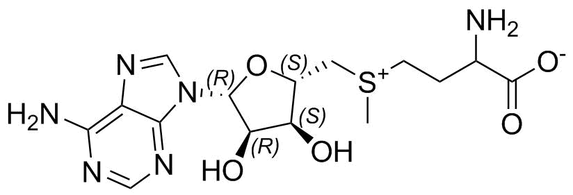 Methionine Impurity 21(Ademetionine)