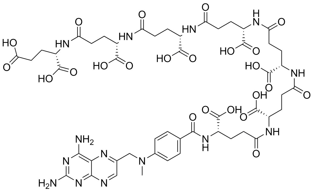 Methotrexate Heptaglutamate