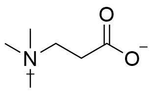 Mildronate Impurity 11
