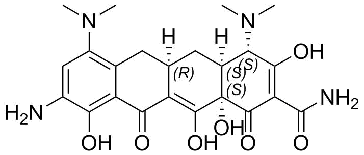 9-Aminominocycline Hydrochloride