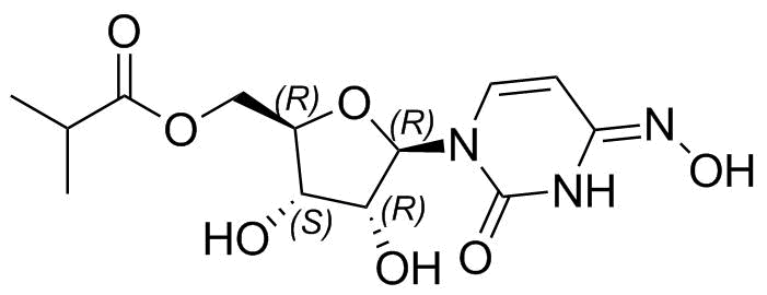 Molnupiravir