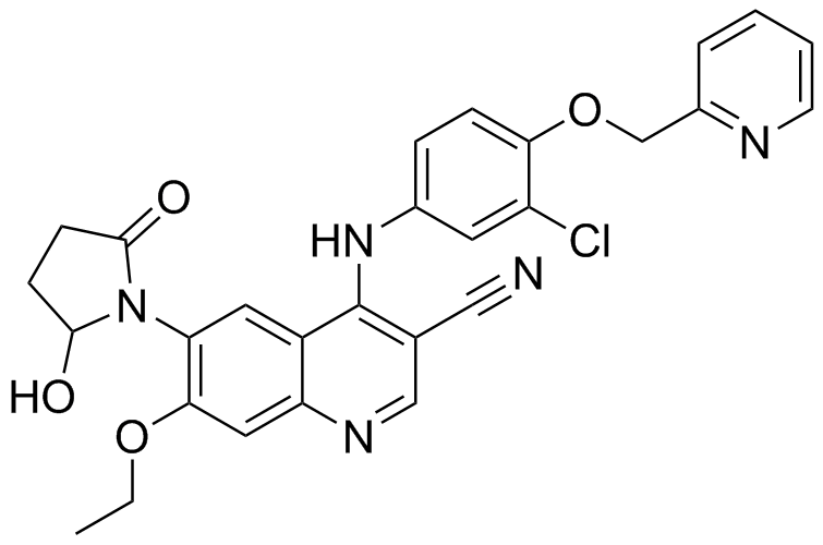 Neratinib Impurity 2
