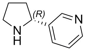 Nicotine Impurity 13