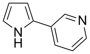 Nicotine Impurity 14