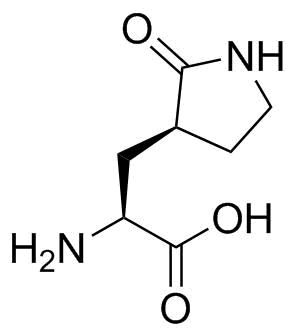Nirmatrelvir Impurity 7
