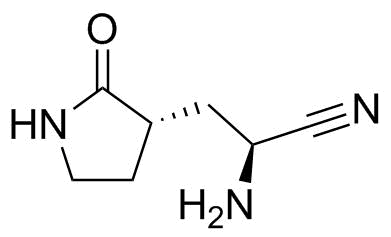 Nirmatrelvir Impurity 24