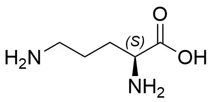 L-Ornithine