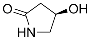 Oxiracetam Impurity P