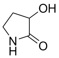 Oxiracetam Impurity 25