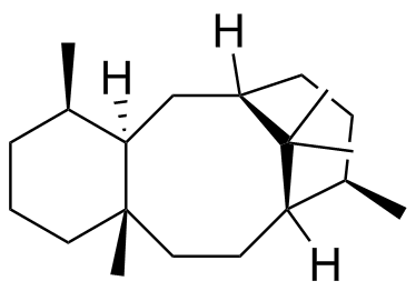Paclitaxel Impurity 24