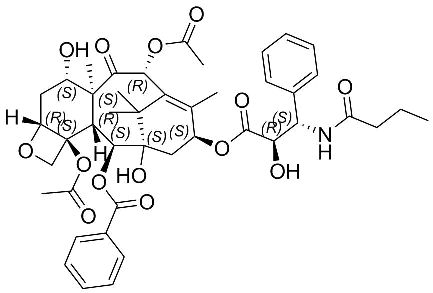 Paclitaxel Impurity 28