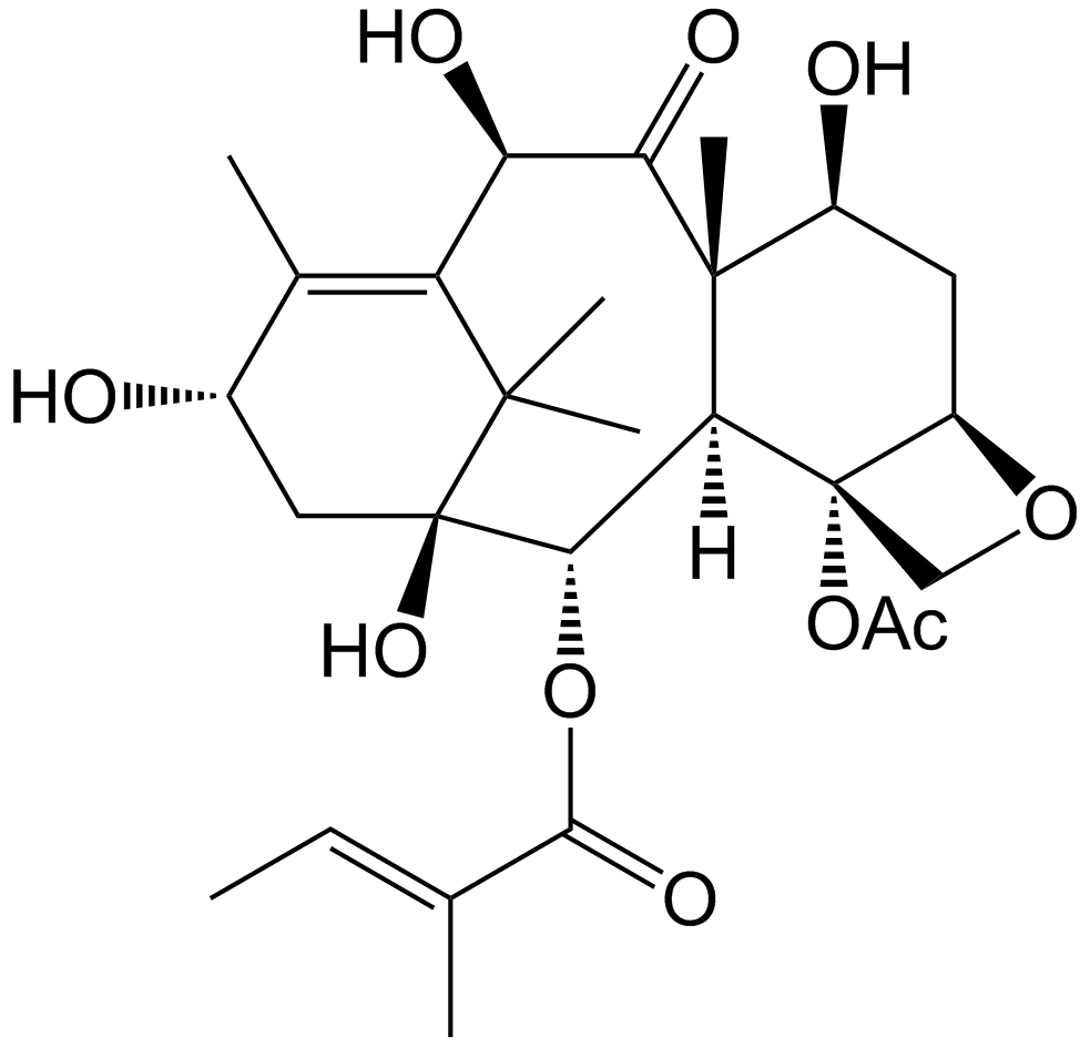Paclitaxel Impurity 44