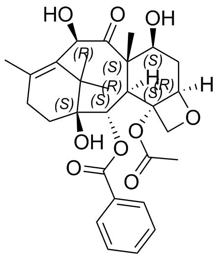 Paclitaxel Impurity 58