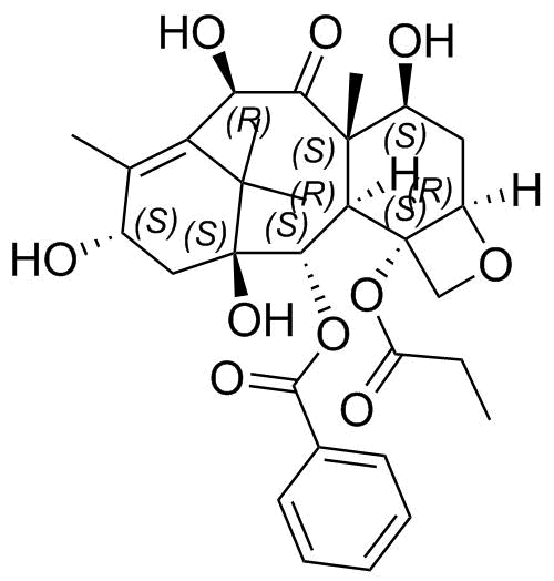 Paclitaxel Impurity 60