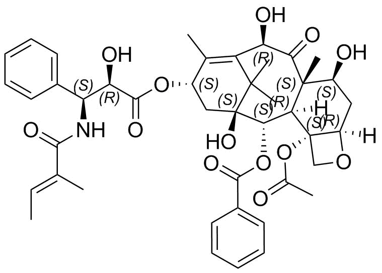 Paclitaxel Impurity 63