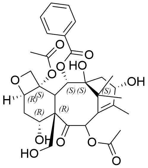 Paclitaxel Impurity 81