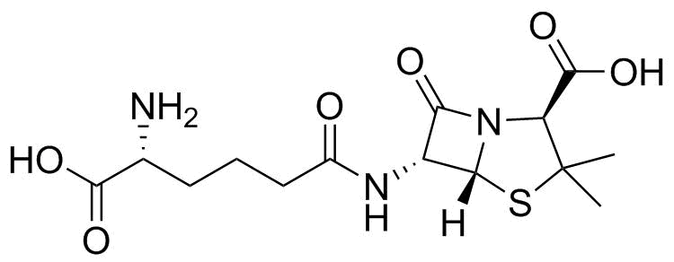 Penicillin