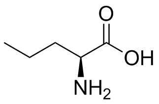 Perindopril Impurity 33