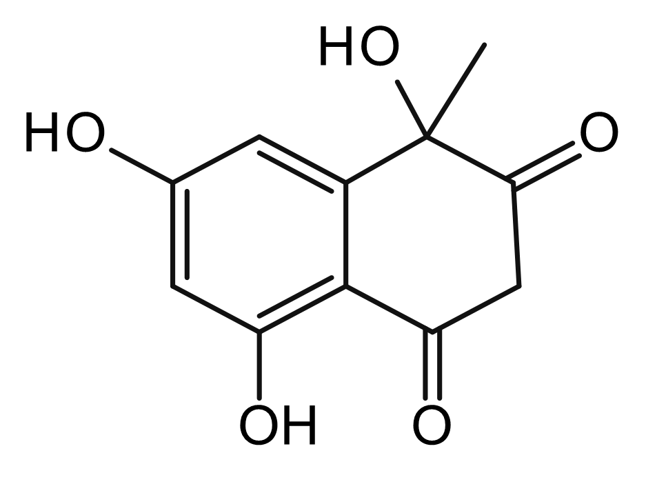 Phloroglucinol Impurity 40