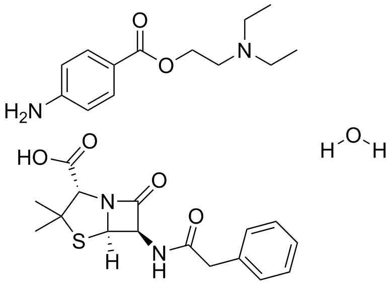 Penicillin G Procaine
