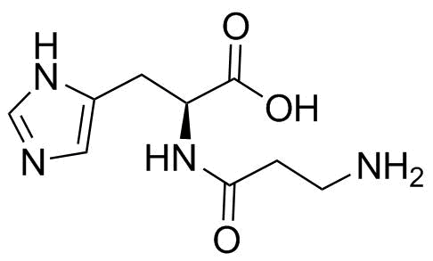 Polaprezinc Impurity 3 ; L-Carnosine