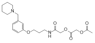 Roxatidine Impurity 26