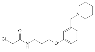 Roxatidine Impurity 28