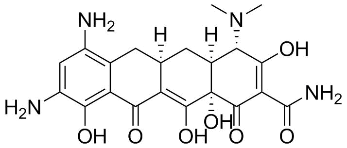 Sancycline Impurity 1