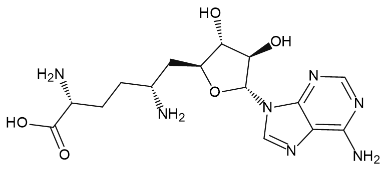 Sinefungin