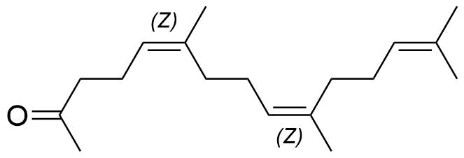 Teprenone Impurity 11