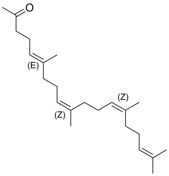 Teprenone Impurity 6