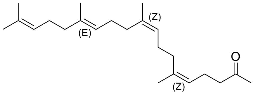 Teprenone Impurity 7