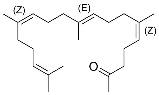 Teprenone Impurity 9