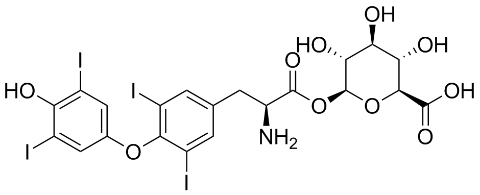 Thyroxine Acyl-β-D-Glucuronide