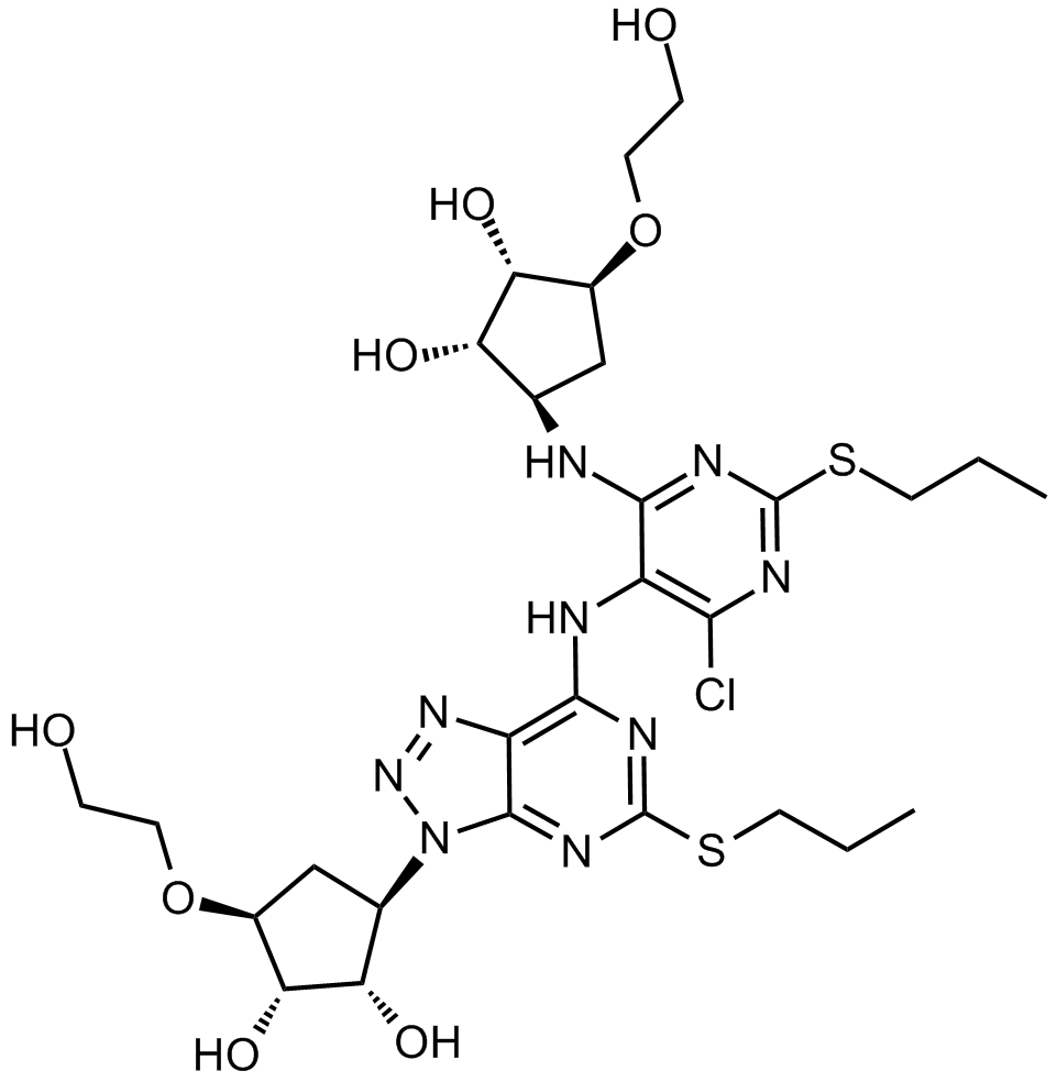 Ticagrelor Impurity R