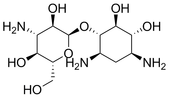 Tobramycin A