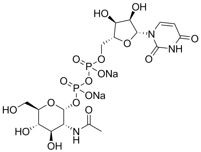 Uridine 5'-(2-acetamido-2-deoxy-alpha-D-glucosyl pyrophosphate)