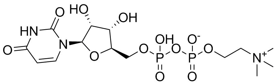 Uridine Diphosphate Choline