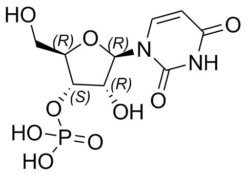 Uridine 3'-Phosphate